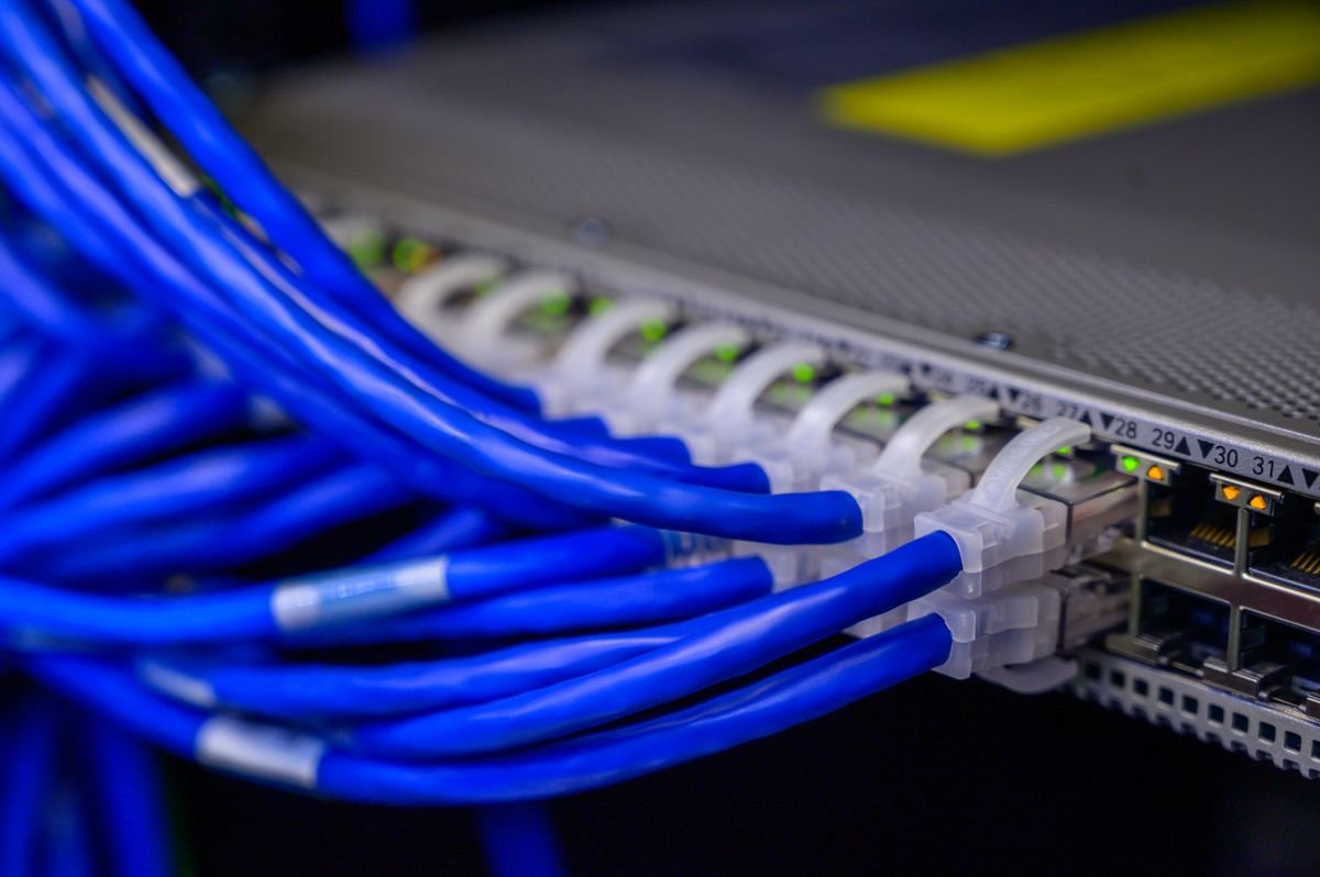 Cables de red conectados a switch